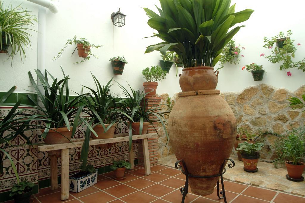 Apartamentos Tio Jose Maria Hinojares Kültér fotó